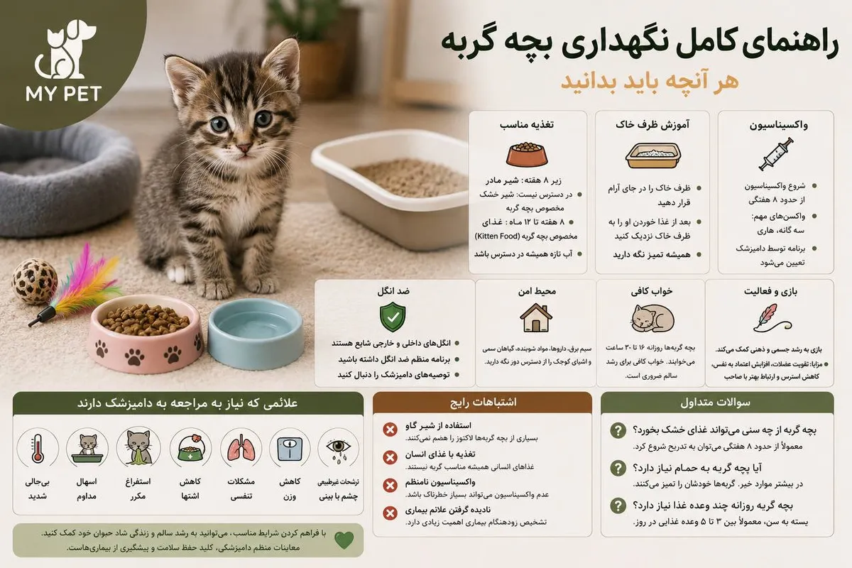 بچه‌گربه‌ای در محیطی امن و آماده برای نگهداری، در کنار وسایل ضروری مانند ظرف غذا، آب، خاک و اسباب‌بازی؛ تصویری آموزشی که اصول اولیه مراقبت، تغذیه و رشد سالم بچه گربه را نشان می‌دهد. لوگوی MY PET در گوشه تصویر قرار گرفته است.